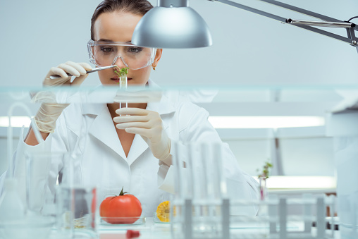 Basic Principles of Food Engineering
